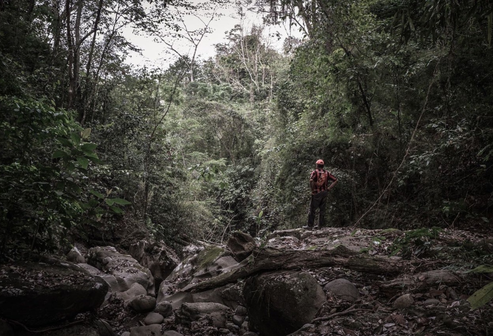 Los guardianes del bosque seco tropical