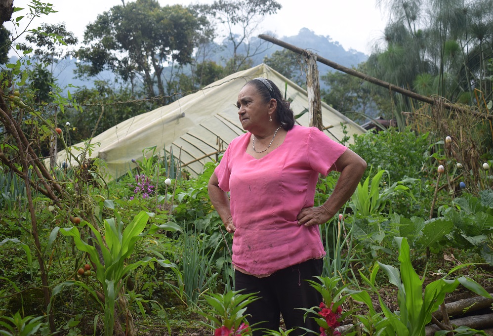 Diosa, la siempreviva, una campesina que vive y copla por la agroecología -  Hacemos Memoria