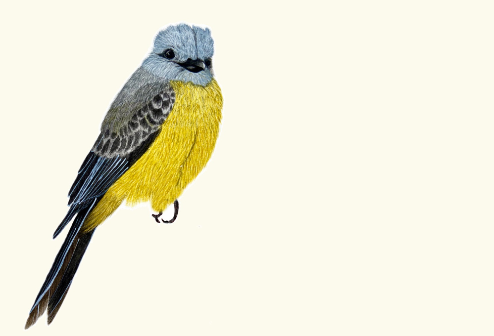 Programa del II Coloquio Internacional: Hacemos Memoria