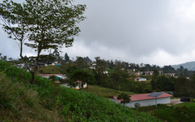 Donde el miedo agoniza