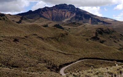 La ruta de los pastos para retornar al centro de la espiral