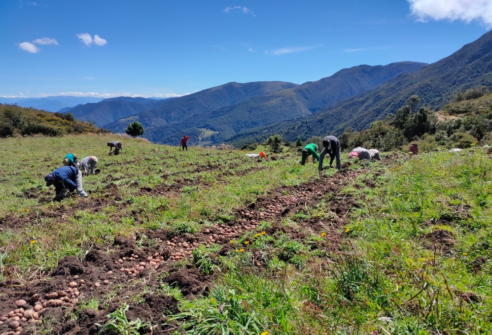 Una historia de lucha por la autonomía campesina