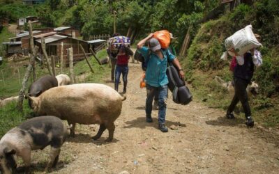Una mirada a la situación humanitaria en Antioquia 