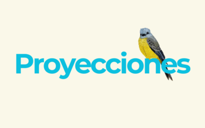 Proyecciones – II Coloquio Internacional Hacemos Memoria