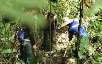 Los firmantes de paz también buscan a los desaparecidos