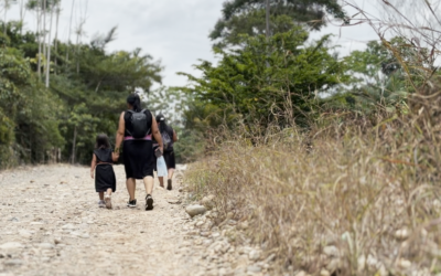 Minas antipersonal en Puerto Guzmán: la herida sigue abierta