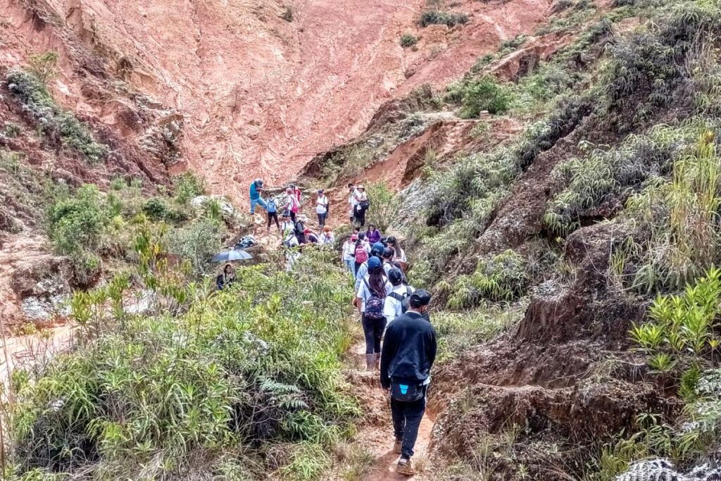 cátedra de paz