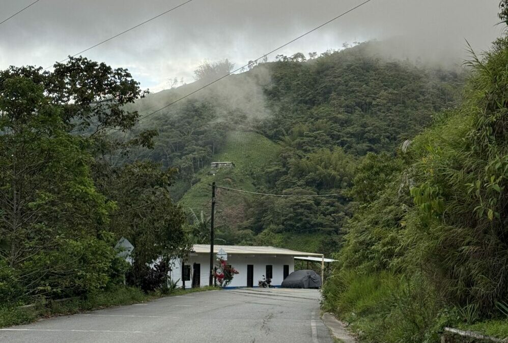 carretera en San Carlos